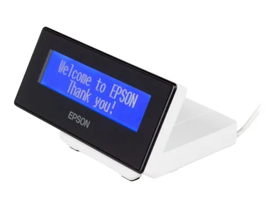 Epson DM-D30